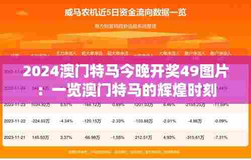 2024澳门特马今晚开奖49图片：一览澳门特马的辉煌时刻