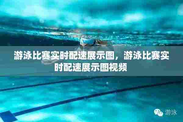 游泳比赛实时配速展示图，游泳比赛实时配速展示图视频 