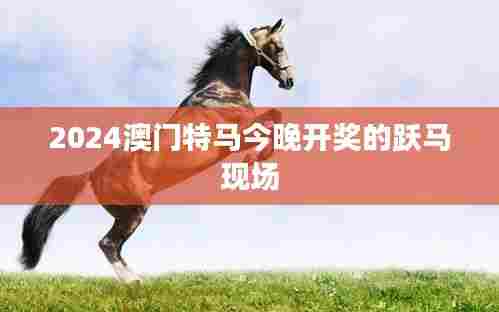 2024澳门特马今晚开奖的跃马现场