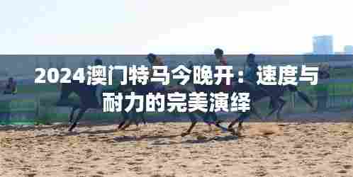 2024澳门特马今晚开：速度与耐力的完美演绎