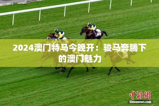 2024澳门特马今晚开:骏马奔腾下的澳门魅力