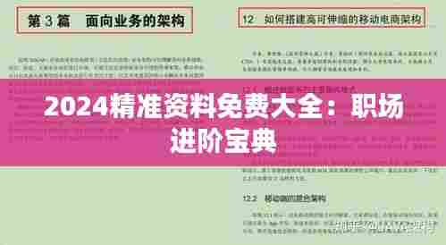 2024精准资料免费大全：职场进阶宝典