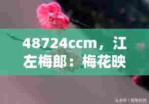 48724ccm，江左梅郎：梅花映雪的古典美学