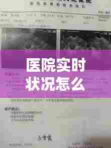医院实时状况怎么看报告，如何查看医院报告单 