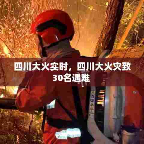四川大火实时，四川大火灾致30名遇难 