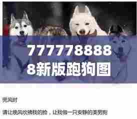 7777788888新版跑狗图解析：狗赛背后的数据分析艺术