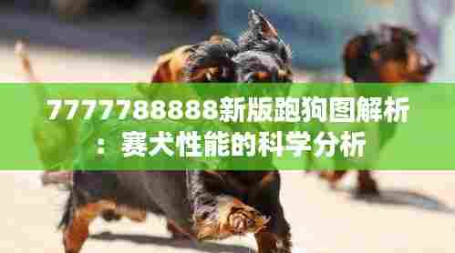 7777788888新版跑狗图解析：赛犬性能的科学分析