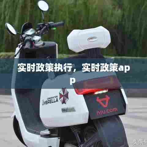 实时政策执行,实时政策app