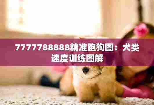 淡泊以明志，宁静以致远 第9页