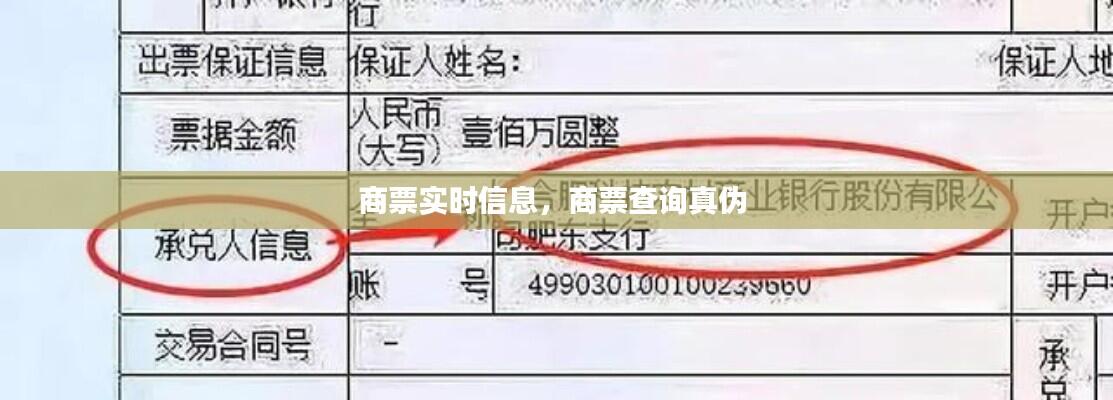 商票实时信息，商票查询真伪 