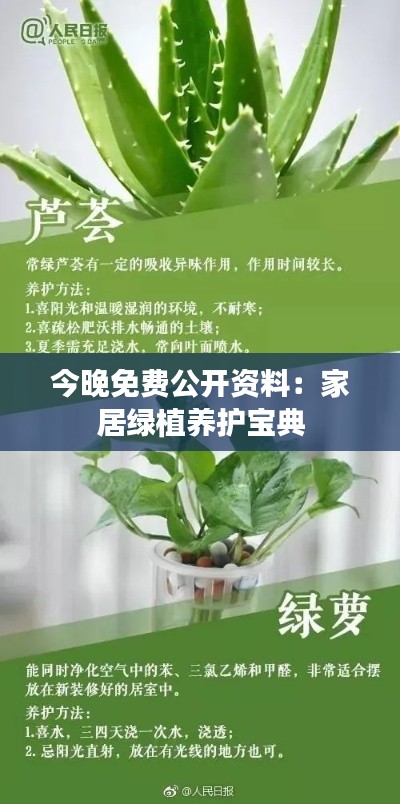 今晚免费公开资料：家居绿植养护宝典