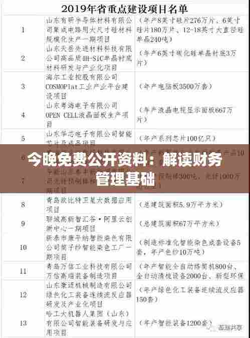今晚免费公开资料:解读财务管理基础