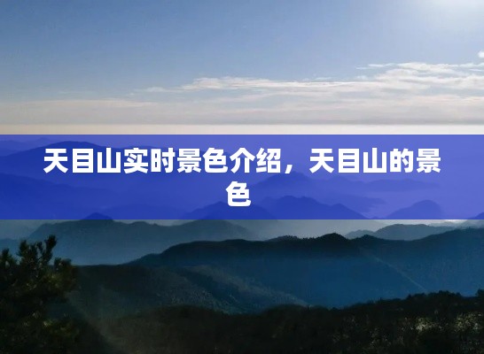 天目山实时景色介绍，天目山的景色 