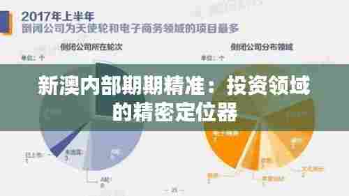 新澳内部期期精准:投资领域的精密定位器