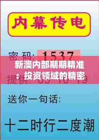 新澳内部期期精准:投资领域的精密定位器