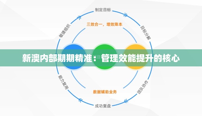 新澳内部期期精准:管理效能提升的核心