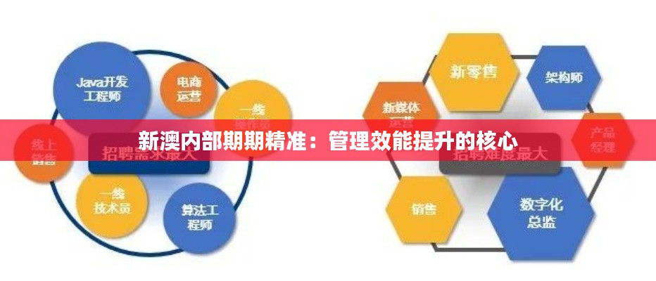 新澳内部期期精准:管理效能提升的核心