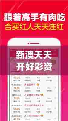 新澳天天开好彩资料大全：打造社交活动的最强攻略