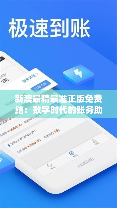新澳最精最准正版免费结：数字时代的账务助手