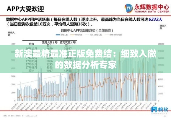 新澳最精最准正版免费结:细致入微的数据分析专家