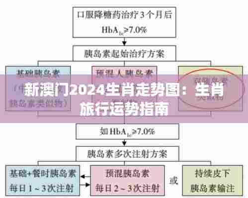 新澳门2024生肖走势图:生肖旅行运势指南