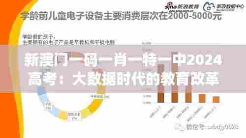 新澳门一码一肖一特一中2024高考:大数据时代的教育改革