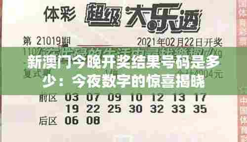 新澳门今晚开奖结果号码是多少：今夜数字的惊喜揭晓