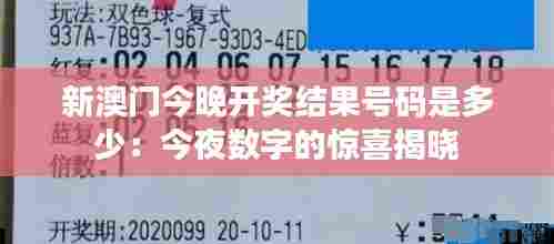 新澳门今晚开奖结果号码是多少:今夜数字的惊喜揭晓