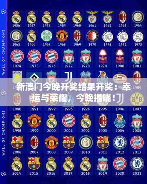 新澳门今晚开奖结果开奖：幸运与荣耀，今晚揭晓！