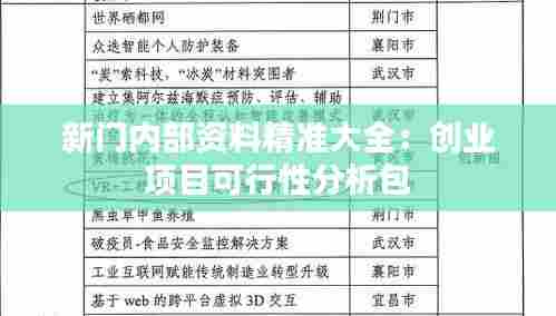 新门内部资料精准大全:创业项目可行性分析包