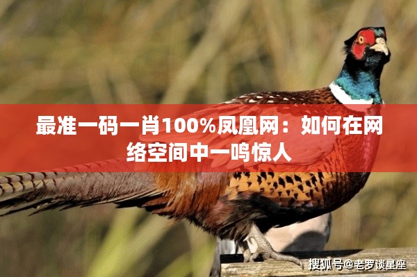 最准一码一肖100%凤凰网：如何在网络空间中一鸣惊人