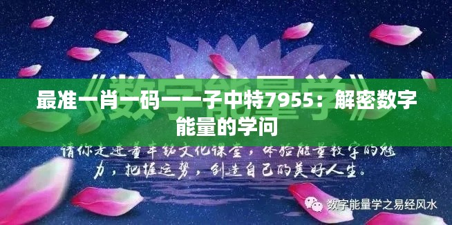 最准一肖一码一一子中特7955：解密数字能量的学问