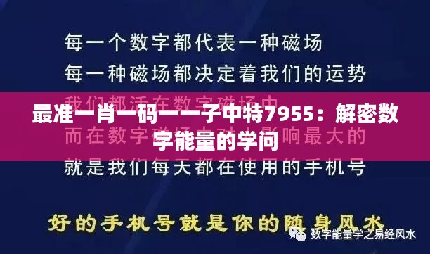 最准一肖一码一一子中特7955:解密数字能量的学问
