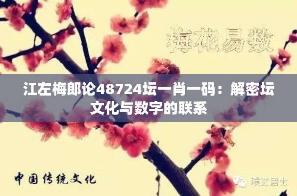 江左梅郎论48724坛一肖一码：解密坛文化与数字的联系