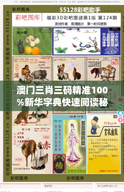 澳门三肖三码精准100%新华字典快速阅读秘诀