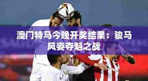 澳门特马今晚开奖结果:骏马风姿夺魁之战