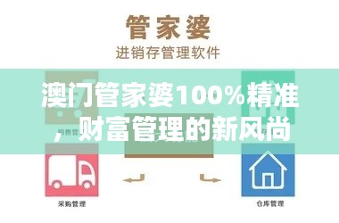 澳门管家婆100%精准,财富管理的新风尚