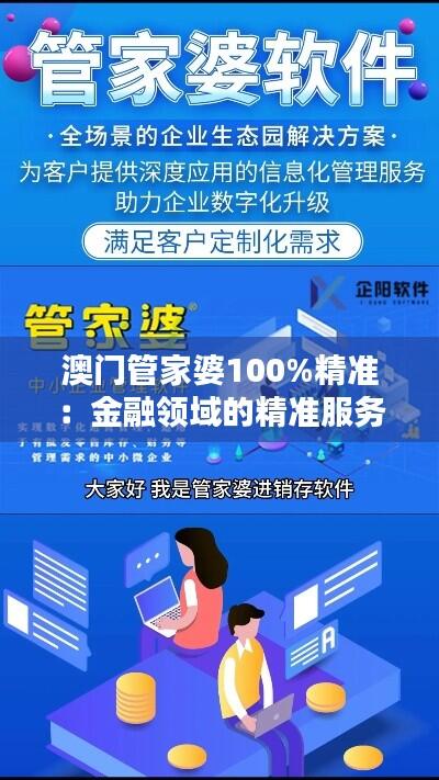 澳门管家婆100%精准:金融领域的精准服务