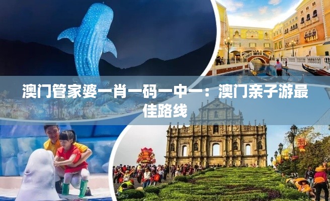 澳门管家婆一肖一码一中一：澳门亲子游最佳路线