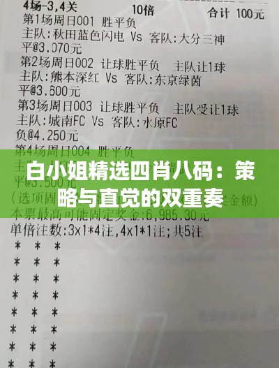 白小姐精选四肖八码：策略与直觉的双重奏