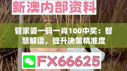 管家婆一码一肖100中奖:智慧解读,提升决策精准度