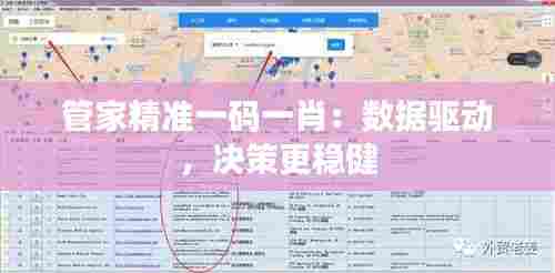 管家精准一码一肖：数据驱动，决策更稳健