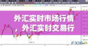 外汇实时市场行情，外汇实时交易行情 