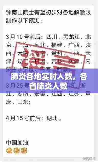 肺炎各地实时人数,各省肺炎人数