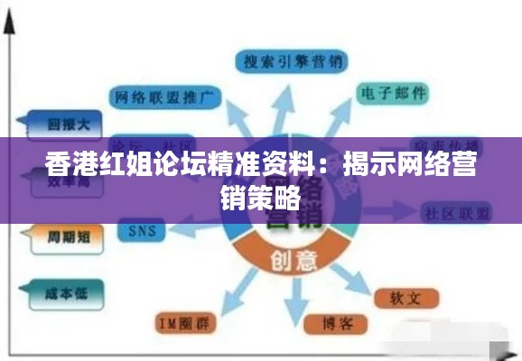 香港红姐论坛精准资料:揭示网络营销策略