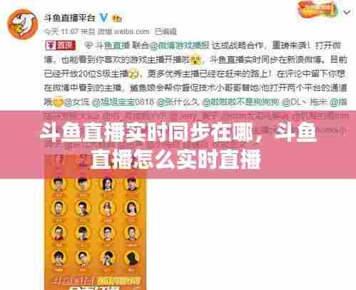 斗鱼直播实时同步在哪,斗鱼直播怎么实时直播