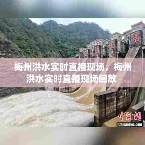 狗尾续貂 第7页