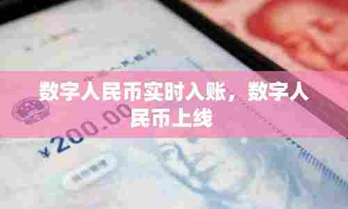 数字人民币实时入账,数字人民币上线