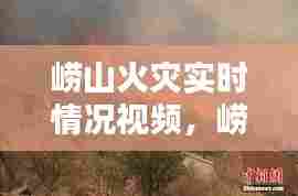 崂山火灾实时情况视频，崂山区火灾 