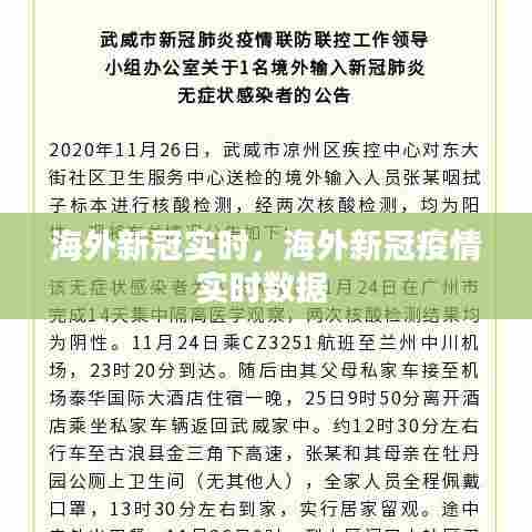 海外新冠实时，海外新冠疫情实时数据 